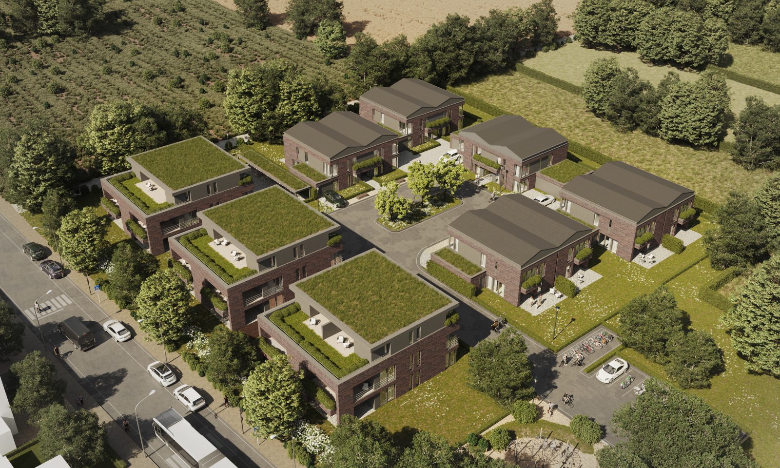 Visualisierung_Grottenweg©LANGEN-MassivHaus_BringsArchitekten_3D-Bilderfabrik_midi